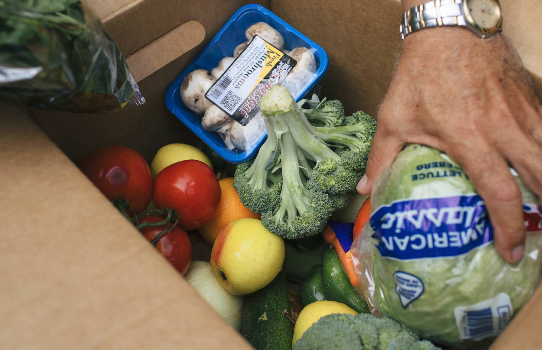 Hand reaches into an open box with a variety of fresh produce.
