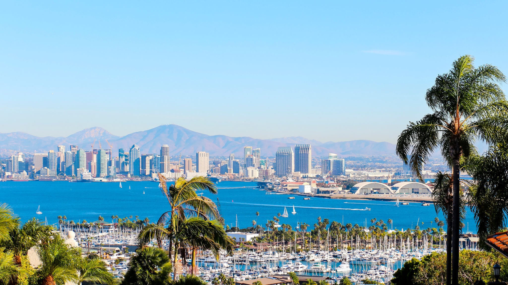 A bright sunny day coats the San Diego skyline in the background with sunshine, while San Diego Bay cools the foreground. 