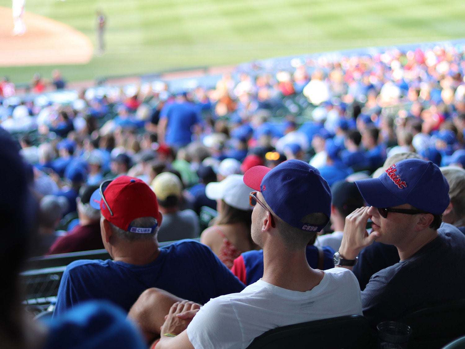 Fans watching a Chicago Cubs baseball game.