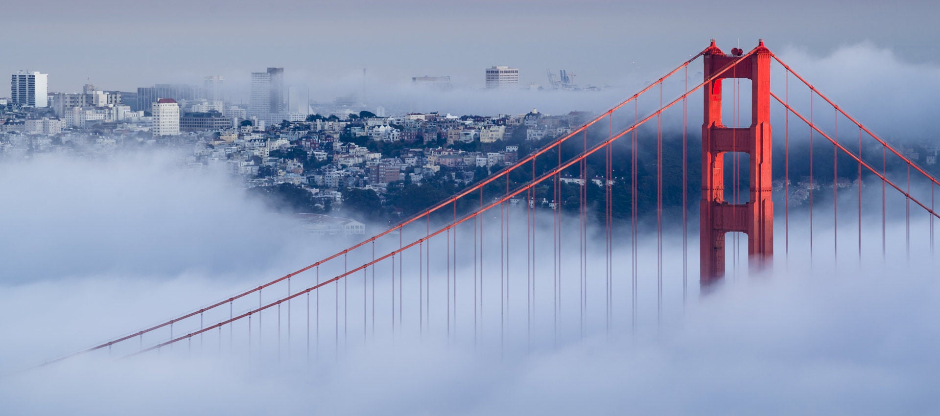 Dawm breaks over a foggy Golden Gate Bridge with the San Francisco skyline in the background.