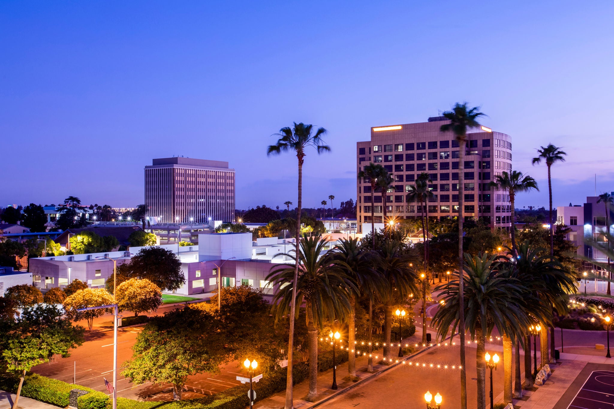 Twilight palm tree framing the skyline of downtown Anaheim, California, USA.