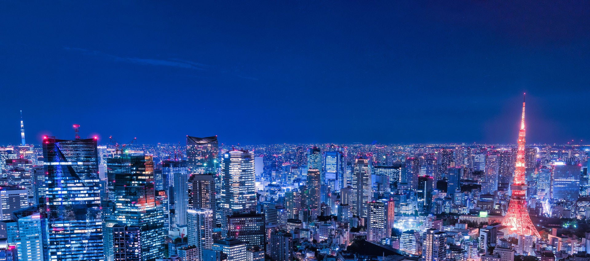 The Tokyo skyline lights up against a clear evening sky.