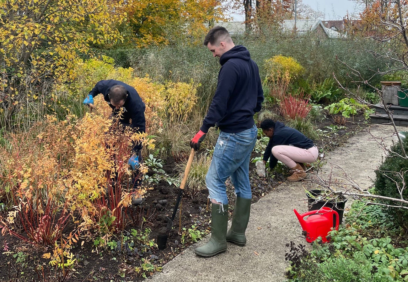 Slalom Manchester team employees volunteer at the Cancer Center Gardens.