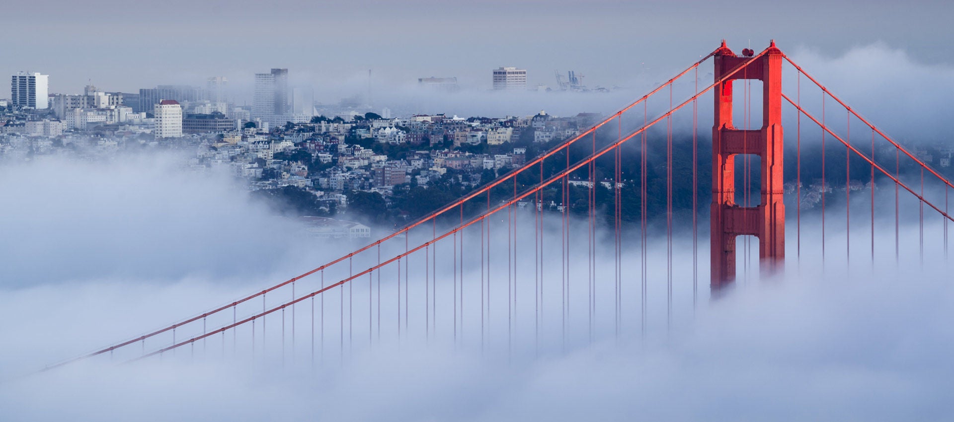 Dawn breaks over a foggy Golden Gate Bridge with the San Francisco skyline in the background.