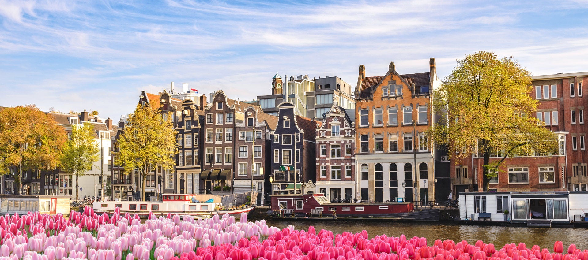 Dutch houses stand above one of the canals of Amsterdam while spring tulips appear in the foreground.