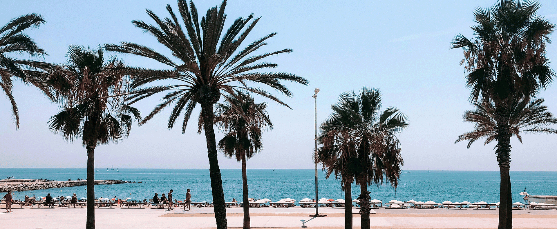barcelona pharma 2025 barcelona pharma 2025