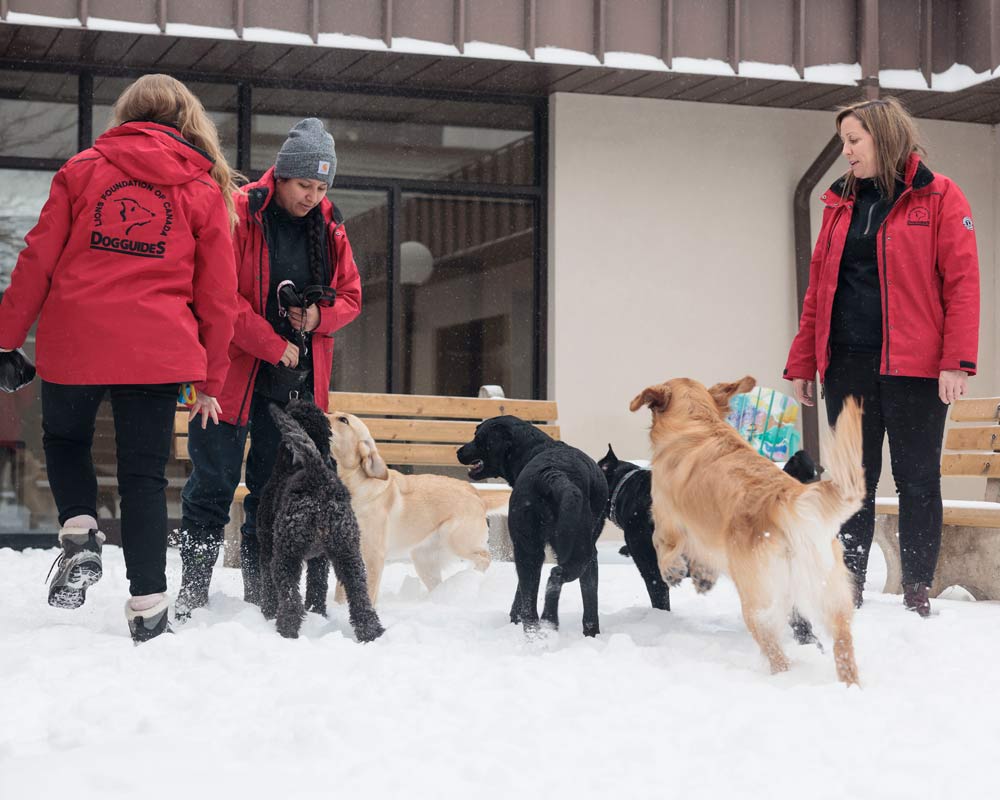 Dog Guides-Trainer mit Hunden