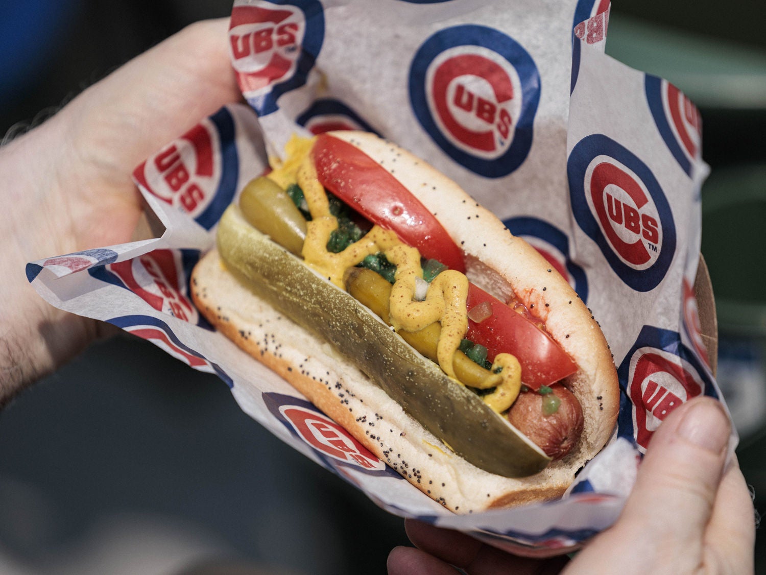 Mit einem Hot Dog in der Hand bei einem Spiel der Cubs.