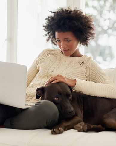 Woman on couch looking at laptop with dog on lap